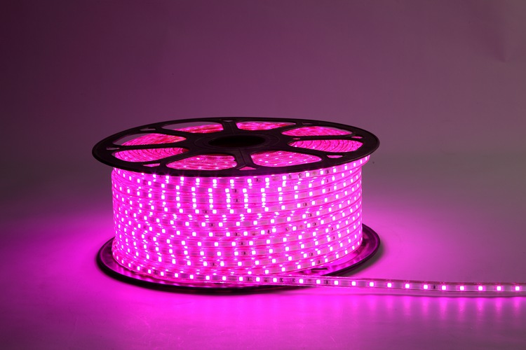 4040 60d 6mm pink light strip 2